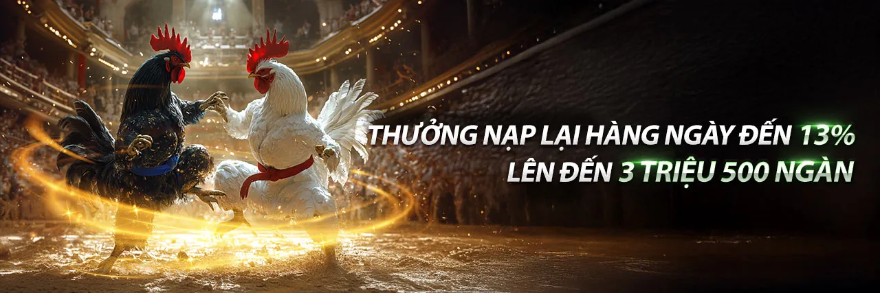 Gà Đá Thomo 2/9 – Trải nghiệm cá cược đỉnh cao tại AE789